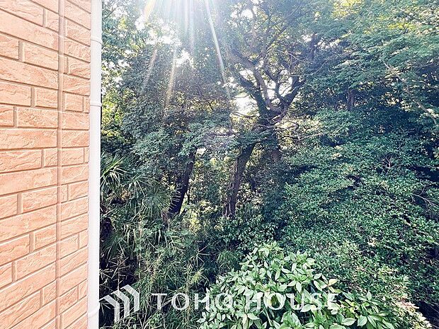 爽やかな風を感じて、心躍る素敵な暮らしがはじまります！