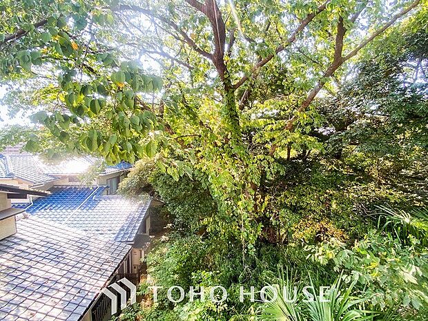 爽やかな風を感じて、心躍る素敵な暮らしがはじまります！