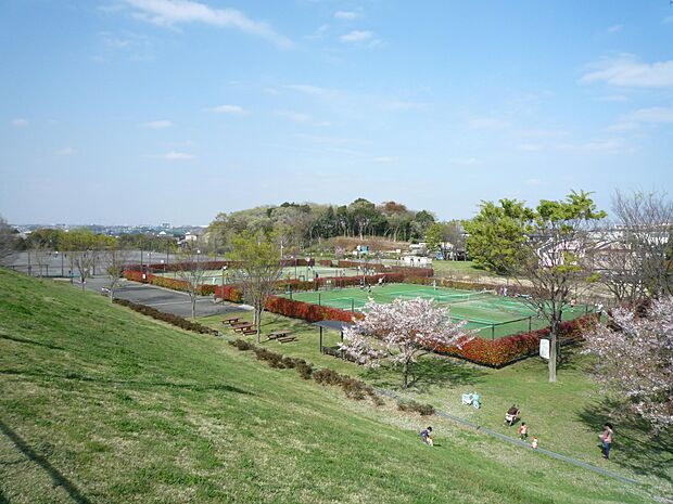 テニスコート、野球場、運動広場などのスポーツ施設が充実。広々とした芝生広場もあります。