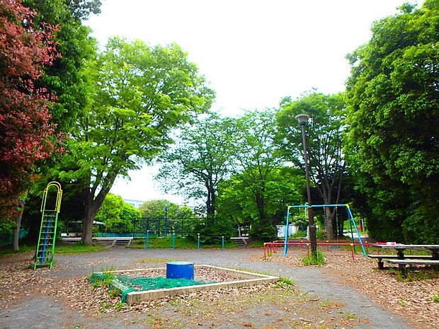 今井川にかかる法泉橋の北側に位置する公園。緑豊かな公園で、広い広場があります。遊具も揃っています。