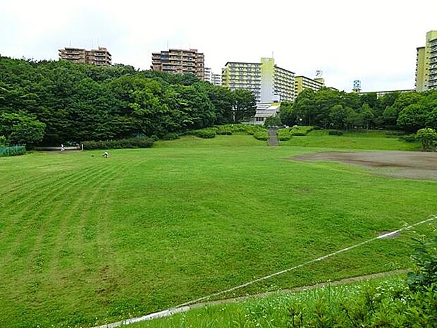若葉台団地に隣接する自然豊かな公園。遊歩道の散策やアスレチックなどお子様から大人まで一日中楽しめます
