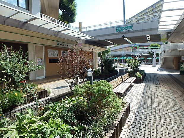 駐車場550台完備。食品・ファッションをはじめ暮らしを支える品々が揃います。