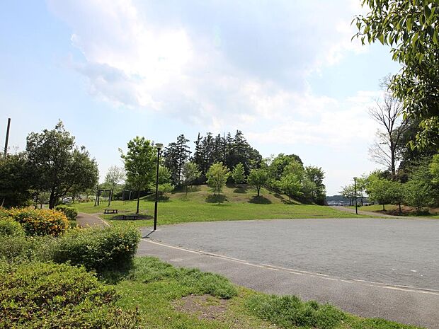 小高い丘の上、整備された遊歩道と長津田十景に選定されている景色を一望できる展望台のある公園。