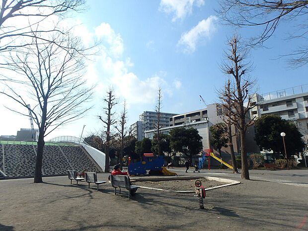 夏にはプールの営業もしており、小さなお子さまからお年寄りまで幅広い利用者のいる帷子川沿いの公園。