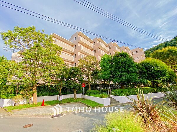 外観：314002623572