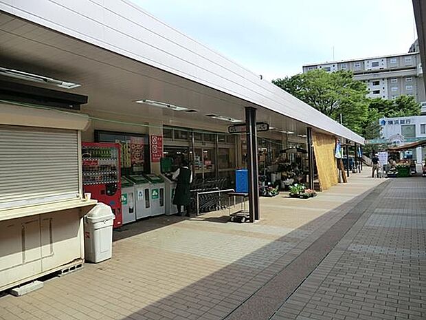 毎日の食卓を飾る新鮮な食料品が揃います。コンパクトな店舗に豊富な品揃えでお買い物を楽しめます。