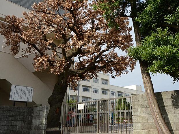 横浜市立永野小学校