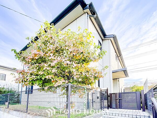表現された空間は豊かな光と風を纏い、暮らしの時間を豊かにしてくれます。
