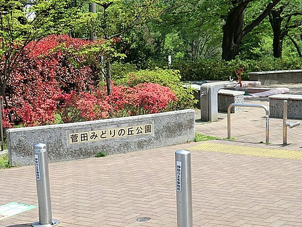 豊かな自然環境が残っているため、園内散策や昆虫採集も。遊具も有り小さなお子様から楽しめる公園です。