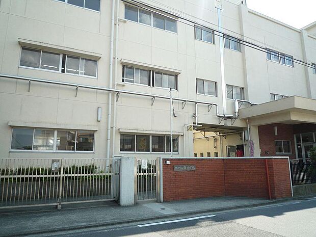 横浜市立南小学校