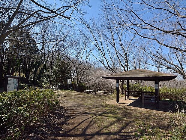 民話も残る滝つぼのある雑木林。森林浴を楽しめる散策道、遊具のある子供広場や眺望のよい殿山見晴台などがあり豊かな自然を感じることができます。