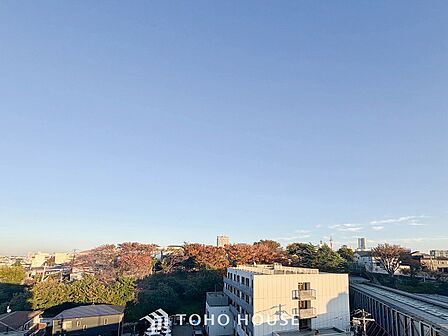 開放的で気持ちの良い眺望と青い空を満喫できます。