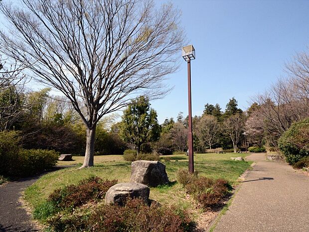 樹林の中に遊歩道が設置されており、四季折々の自然を楽しめる公園。