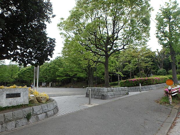 住宅街の中の緑に囲まれた公園。お子様が走り回れる広場や遊具、木陰で休めるベンチがございます。木漏れ日の中でほっと一息。