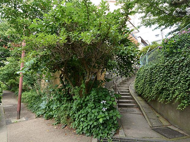 1992年に「松の川」は全てが埋められ、約2.1kmの「松の川緑道」として整備されました。