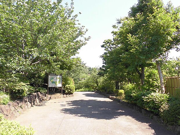 豊かな緑に囲まれた和風庭園。『春祭り』や『蛍鑑賞会』など地域に根付いたイベントも。