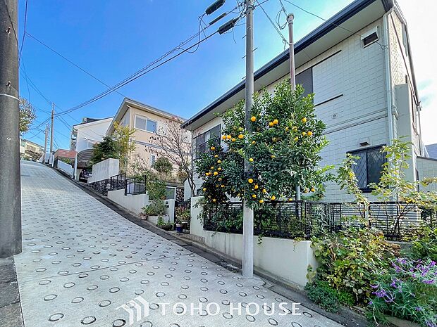 爽やかな風を感じて、心躍る素敵な暮らしがはじまります。