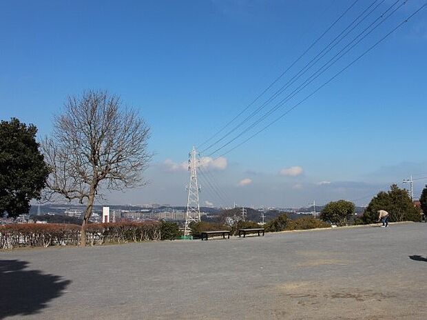 見晴らしの良い広々とした公園。夜景スポットとしても知られており、ベンチに座って夜景を眺められます。