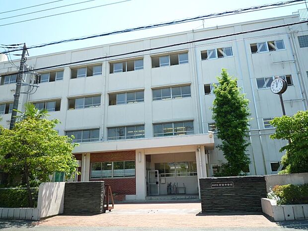 横浜市立新田中学校