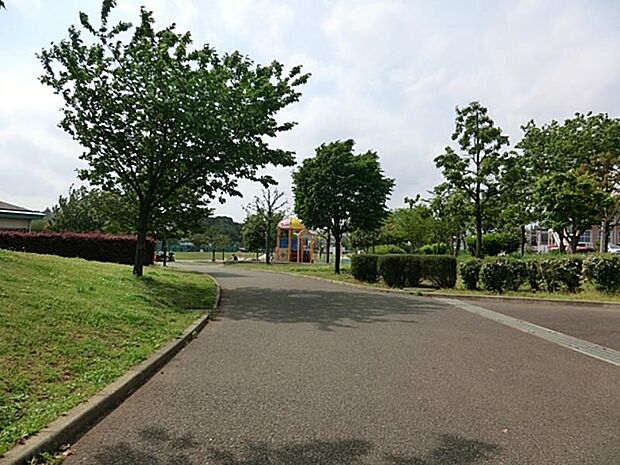 テニスコート、野球場、芝生広場が完備されており、子ども用の遊具も有ります。