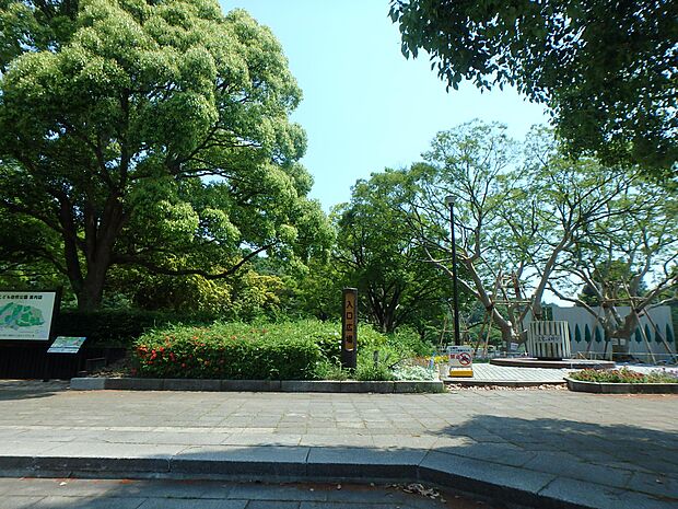 春には桜のきれいな大池公園。アスレチックやふれあい動物園もあります。