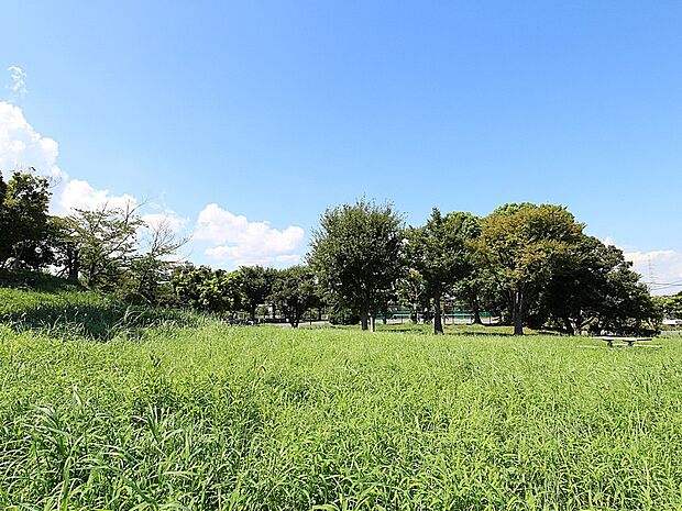 野球場や芝生公園・遊具公園・プール・テニスコートなどと多目的に利用できるスポーツ公園です。