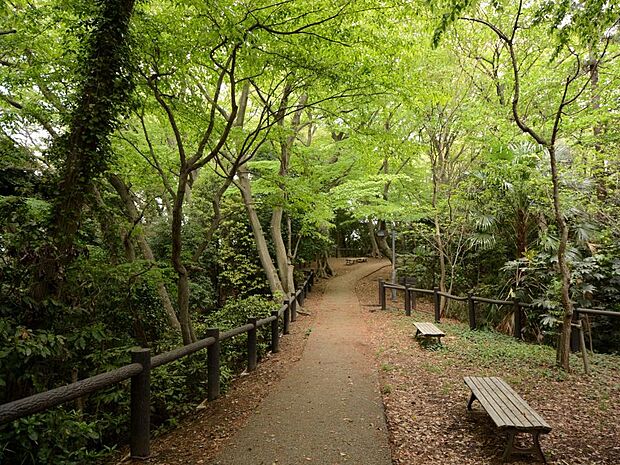多目的広場や遊具のある広場とともに緑豊かな雑木林、湧き水が流れるせせらぎがあります。