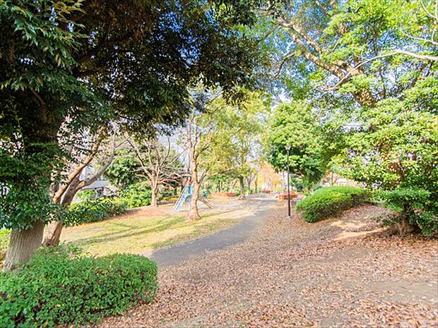 大きなケヤキやクスノキがとても印象的なみどりあふれる公園です。水飲み場やベンチ、遊具もあります。