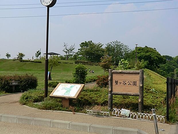 野鳥観察・自然観察に。里山にいるような自然豊かな公園
