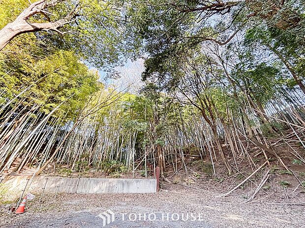 開放的で気持ちの良い眺望と青い空を満喫できます。