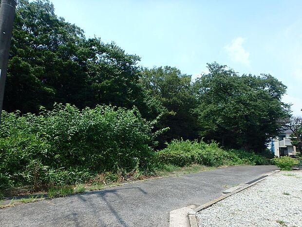 ふるさと尾根道緑道に隣接した広大な緑地を利用した公園。