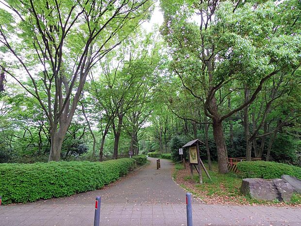 昔ながらの田園風景が残された自然いっぱいの広大な公園。春には美しい桜の下でお花見が楽しめます。