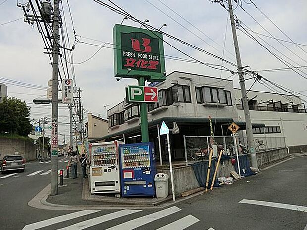 野菜や果物、肉、魚など新鮮な食材を豊富に取り揃えています。
