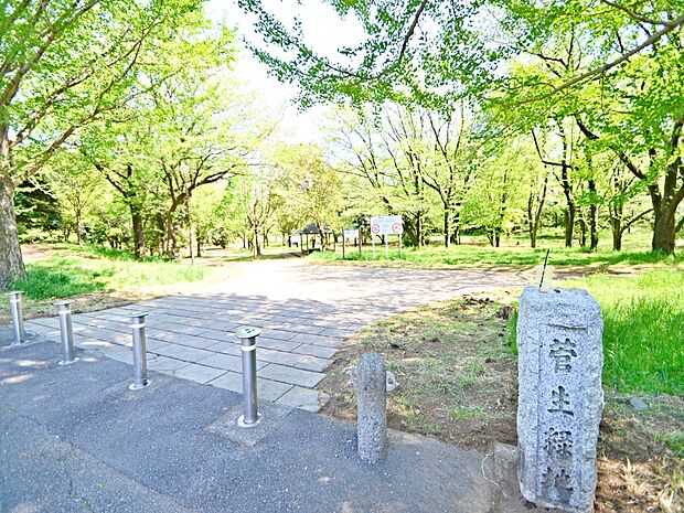 木々に囲まれた緑豊かな公園です。ゆっくりと散策や森林浴を楽しめます。