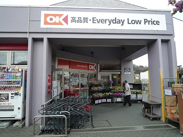 「Everyday Low Price」を合言葉に食料品を中心に豊富な品揃えで、お値打ち価格のお買い物ができるディスカウントストア。