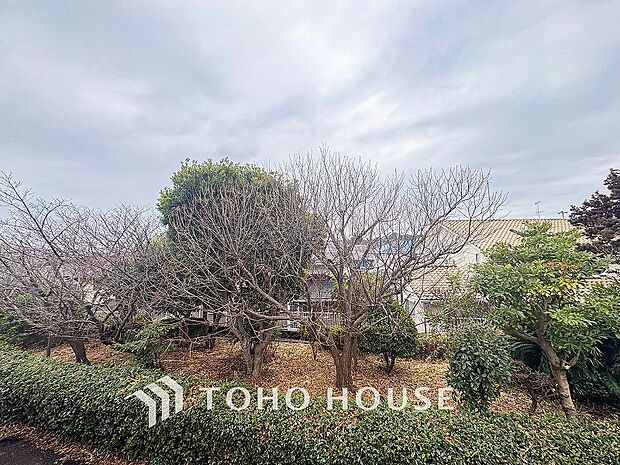 爽やかな風を感じて、心躍る素敵な暮らしがはじまります。