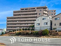 ルピナス四季の森公園