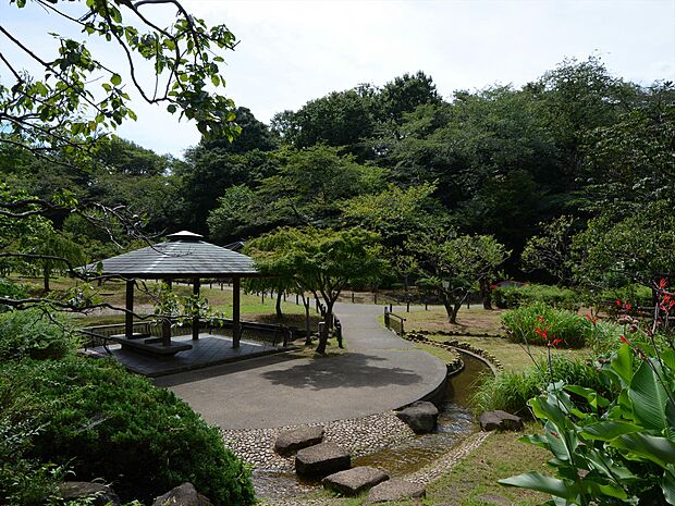 園内には梅林があり、梅の名所として知られている公園。毎年早春になると大勢の観梅客が訪れて賑わっています。桜や新緑など、四季折々の違った彩りを楽しめる公園です。