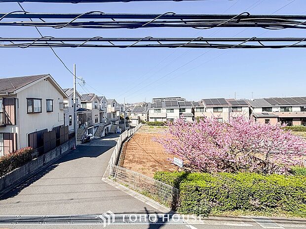 開放的で気持ちの良い眺望と青い空を満喫できます。