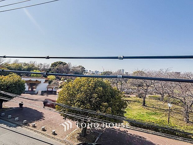 開放的で気持ちの良い眺望と青い空を満喫できます。