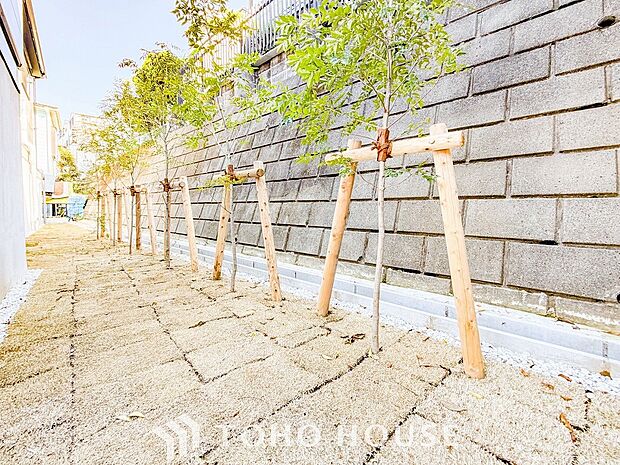 表現された空間は豊かな光と風を纏い、暮らしの時間を豊かにしてくれます。