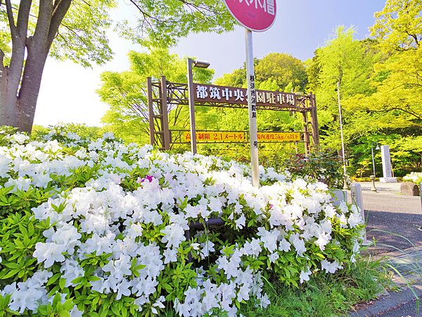 自然と親しめる大型の公園です。園内は四季折々の草花が楽しめ、訪れた人を楽しませてくれます。