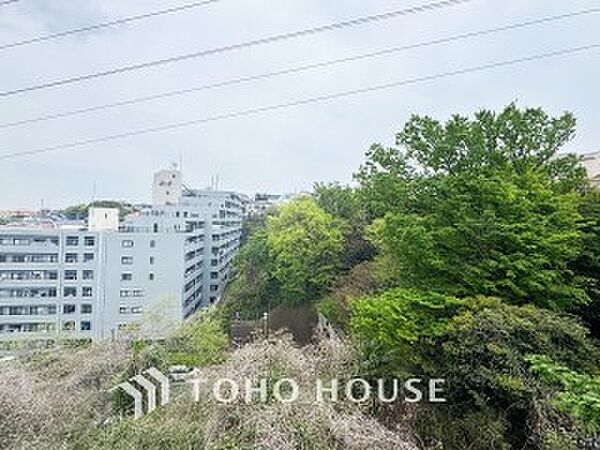 開放的で気持ちの良い眺望と青い空を満喫できます。
