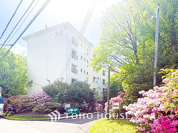 外観：314002715414