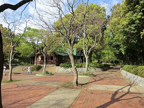 子ども達が身近なところで木のぬくもりを感じながら自由に遊べる屋内公園。