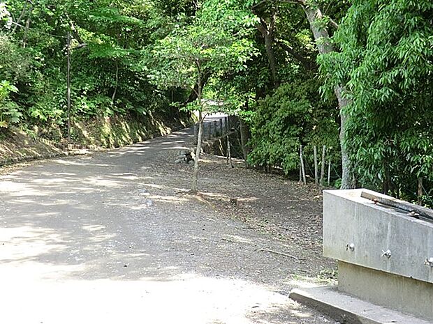 緑豊かな自然に囲まれ、春には桜、秋には紅葉が楽しめます。