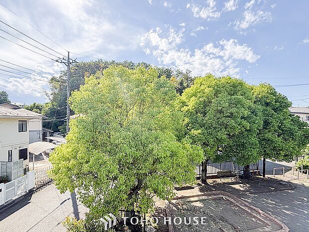 木々の緑がまぶしい、豊かな緑と静寂。ずっと見ていたいと思わせてくれる景色。