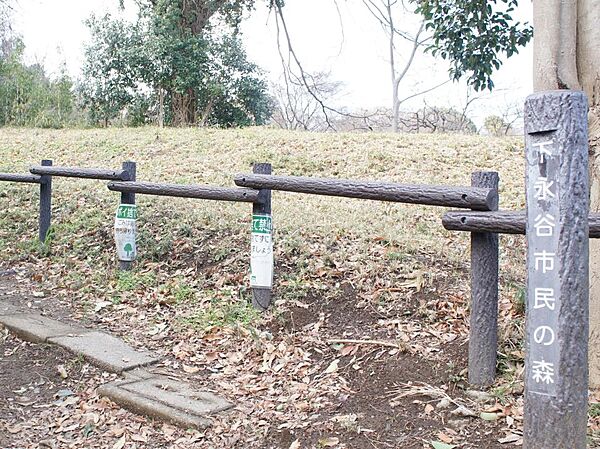 木々の中に吸い込まれるように続く尾根道がワクワク楽しい公園。
