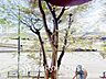 その他：木々の緑がまぶしい、豊かな緑と静寂。ずっと見ていたいと思わせてくれる景色。