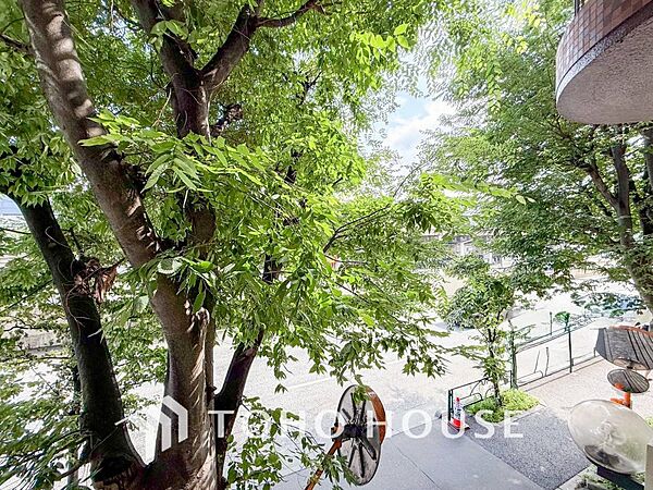 木々の緑がまぶしい、豊かな緑と静寂。ずっと見ていたいと思わせてくれる景色。
